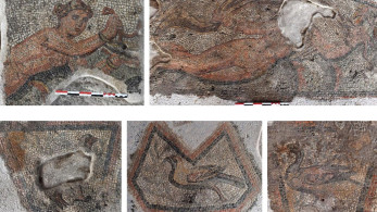 ΥΠΠΟ: δρομολογείται η ανάδειξη ρωμαϊκής έπαυλης στο Αμύνταιο με εντυπωσιακά ψηφιδωτά (photos)