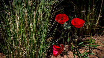 Με τι καιρό θα κάνουμε Πάσχα: ανοιξιάτικο σκηνικό έως τη Δευτέρα