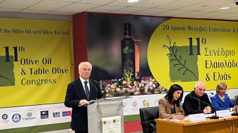 Ο Γιάννης Ανδριανός στο 11 ο Φεστιβάλ Ελαιολάδου και Ελιάς  στο Ηράκλειο Κρήτης
