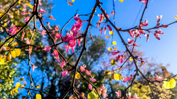 Καιρός: ανεβαίνει η θερμοκρασία - Πού θα βρέξει