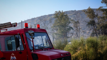 Συναγερμός στην Κερατέα: Πύρινο μέτωπο κοντά στη Λεωφόρο Λαυρίου - Στο σημείο ισχυρές δυνάμεις της Πυροσβεστικής