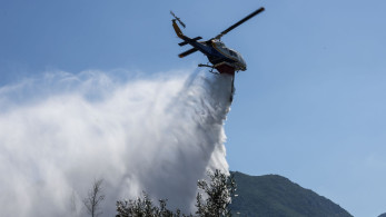 Πυροσβεστική: Πανελλαδικά 44 φωτιές το τελευταίο 24ωρο - Δυο συλλήψεις στην Αττική