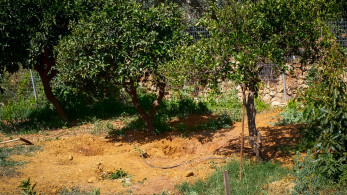 Κρήτη: Σοκάρουν τα νέα στοιχεία για τη δολοφονία της 45χρονης Σταυρούλας (video)