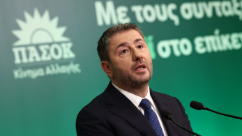 ΠΑΣΟΚ: Οι δελφίνοι, οι αντιφάσεις Ανδρουλάκη και ένα κόμμα χωρίς πυξίδα