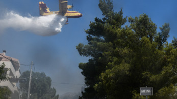 Η Αττική εκπέμπει SOS: Στάχτη το 38% των δασών σε λιγότερο από μία δεκαετία - Σοκ από τα δεδομένα πυρκαγιών