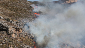 Βοιωτία: oι φλόγες μπήκαν στο χωριό Ξηρονομή - Φωτιά στο Άργος - Αναζωπυρώσεις στο Ρέθυμνο
