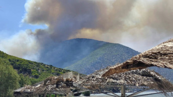 Φωτιά στη Βοιωτία: ο δήμαρχος Στυλίδας ένας από τους συλληφθέντες (video)