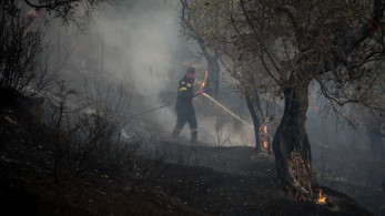 Μυτιλήνη: Πυροσβέστης τραυματίστηκε στη μάχη με τις φλόγες στο Πλωμάρι