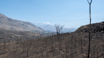 Ελεύθερος ο προϊστάμενος του ΔΕΔΔΗΕ Ρεθύμνου για τη φωτιά στην Κρύα Βρύση (video)