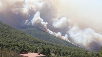 Πόρτο Γερμενό: Κινδυνεύουν από τη φωτιά Κιθαιρώνας και Ψάθα - Νέο 112 (video)