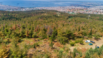 Θεσσαλονίκη: κλειστό το Σέιχ Σου λόγω κινδύνου φωτιάς