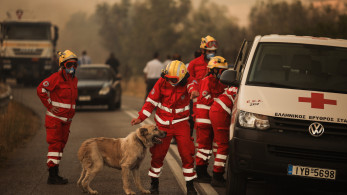 Ελληνικός Ερυθρός Σταυρός: Έκκληση για οικονομική στήριξη των πυρόπληκτων - Πώς μπορείτε να βοηθήσετε