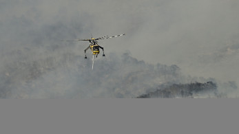 Meteo: Πάνω από 480.000 στρέμματα έγιναν στάχτη στη Δυτική Αττική από το 2018 - Σοκ από τα νέα στοιχεία