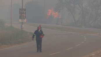 Συγκλονιστική μαρτυρία εθελοντή πυροσβέστη για τη Σίβηρη Χαλκιδικής - «Μας κυνηγούσαν οι φλόγες»