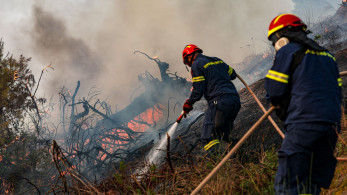Χαλκιδική: φωτιά σε αγροτοδασική έκταση στο Παλαιοχώρι