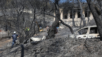 Φωτιά στη Σαλαμίνα: Ξεκινούν αυτοψίες στα καμένα σπίτια - Στο μικροσκόπιο της ΔΑΕΕ τα αίτια (video)