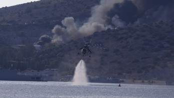 Φωτιές: Μάχη με τις φλόγες σε Βοιωτία, Σαλαμίνα, Πέλλα και Ηράκλειο - Καλύτερη η εικόνα σε Κερατέα (video)