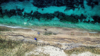 Greenpeace για τον αιγιαλό: Να κυρωθεί άμεσα το Πρωτόκολλο της Βαρκελώνης