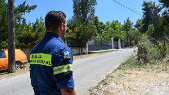 Γεωργία Παράσχου: Η οργάνωση εθελοντών είναι το κλειδί για τις φωτιές