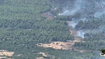 Φωτιά στη Δυτική Αττική: Το antinero έσωσε ζωτικά κομμάτια του δάσους (εικόνες)