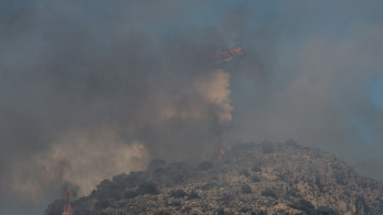 Πυρκαγιά στη Σαλαμίνα: Δύο νεκροί και εγκαυματίες - Καίγονται σπίτια - Απεγκλωβισμοί διά θαλάσσης (photo-video)
