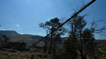Βοιωτία: Το πόρισμα δείχνει βραχυκύκλωμα για τη φωτιά