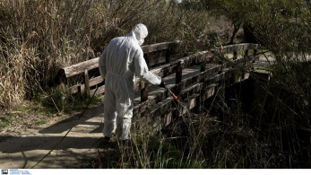 «Καμπανάκι» για την έξαρση του ιού του Δυτικού Νείλου στην Αττική