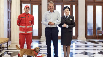 Κυριάκος Μητσοτάκης: Πρώτες βοήθειες στην παγκόσμια ημέρα σκύλου, με πρωταγωνιστή τον Peanut
