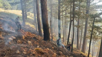 Βελτιωμένη η εικόνα της πυρκαγιάς στην Κόνιτσα, σε ύφεση τα άλλα μέτωπα (video)