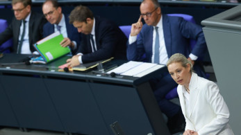 AfD: από το περιθώριο στην πολιτική εδραίωση