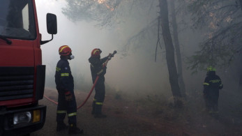 Οριοθετήθηκε σε 20 λεπτά η φωτιά  στον Αετό Καρύστου Ευβοίας