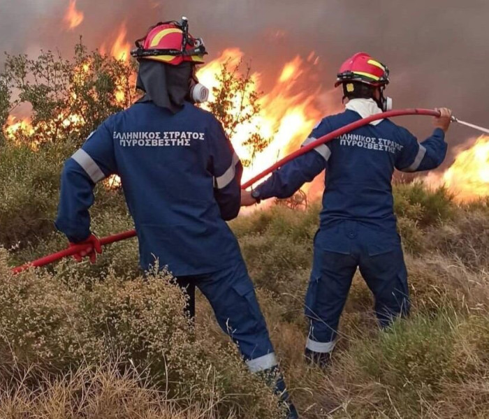 Φθιώτιδα: υπό έλεγχο η φωτιά στο Λιμογάρδι