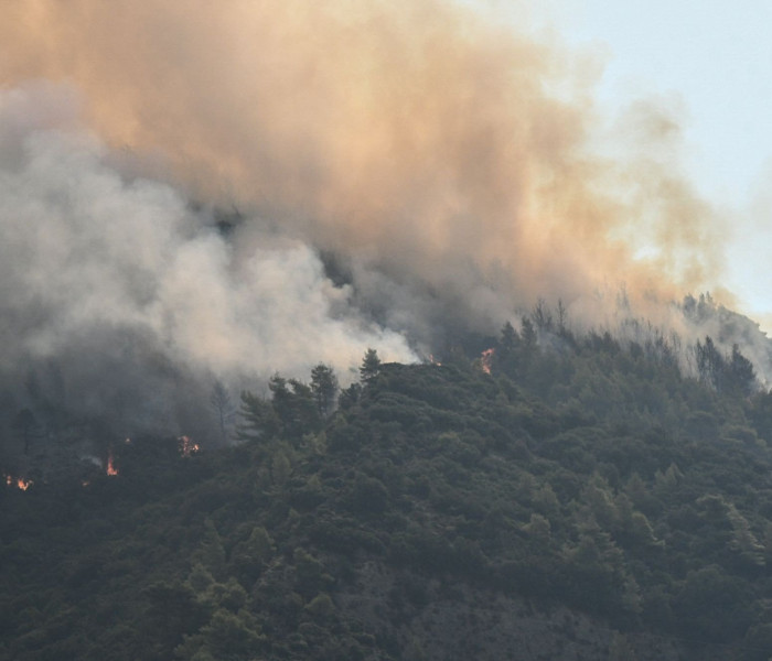 Πυροσβεστική: 83 αγροτοδασικές πυρκαγιές το τελευταίο 48ωρο - Επτά συλλήψεις
