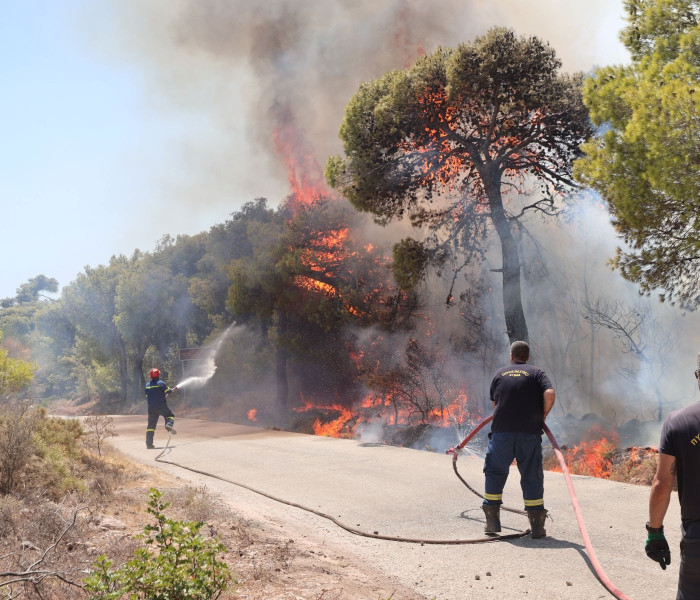 Πυροσβεστική: Πέντε συλλήψεις για εμπρησμούς το τελευταίο 24ωρο