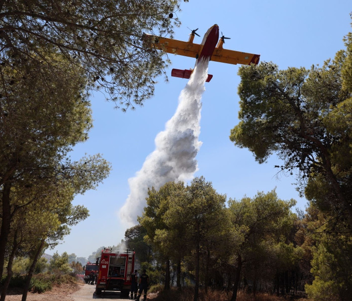 Φωτιά τώρα στη Σαλαμίνα: 92 πυροσβέστες στη μάχη της κατάσβεσης - Σηκώθηκαν επτά εναέρια μέσα