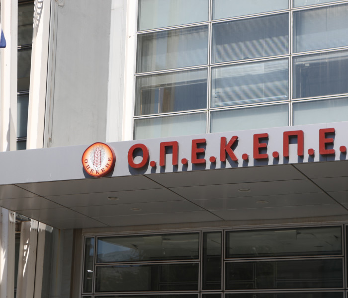 Επικρίσεις για τους χειρισμούς του ελληνικού κλιμακίου της Ευρωπαϊκής Εισαγγελίας στον ΟΠΕΚΕΠΕ (video)
