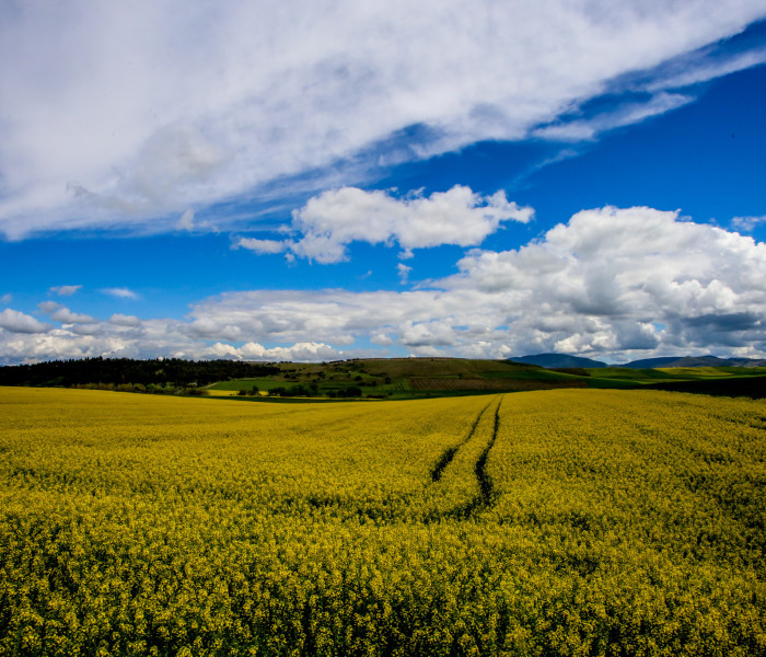 ΥΠΑΑΤ: Άνοιξαν οι πίνακες δικαιούχων εξισωτικής 2025 - Οδηγός για πληρωμές και ενστάσεις