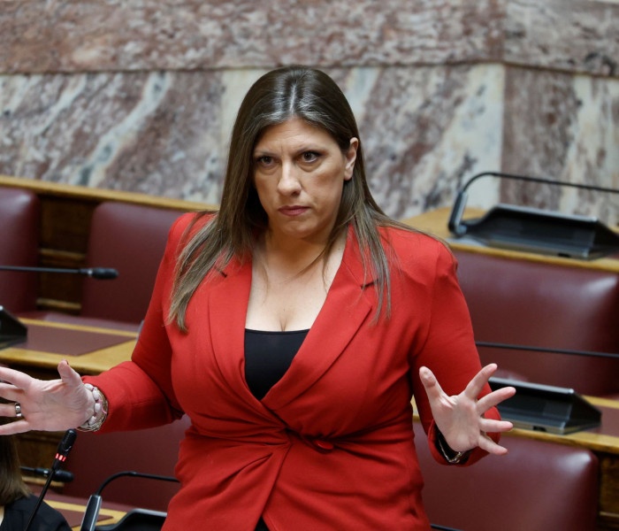 Με fake news Στομεϊνίδη το πρόγραμμα εργασίας της Κωνσταντοπούλου