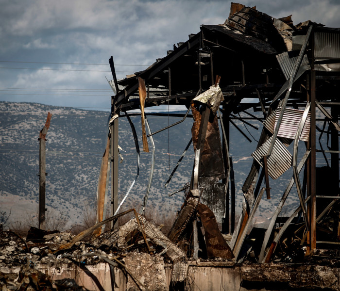 Βιολάντα: Οι λόγοι που οδήγησαν στην κράτηση του ιδιοκτήτη - Τα ευρήματα των αρχών (βίντεο)