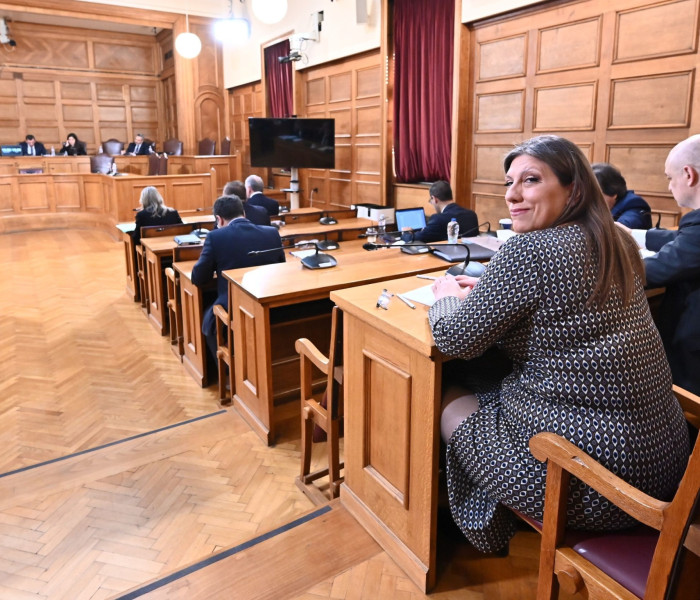 Πλεύση Ελευθερίας: χάνει τους βουλευτές της η Ζωή, αλλά κερδίζει στην αγάπη…