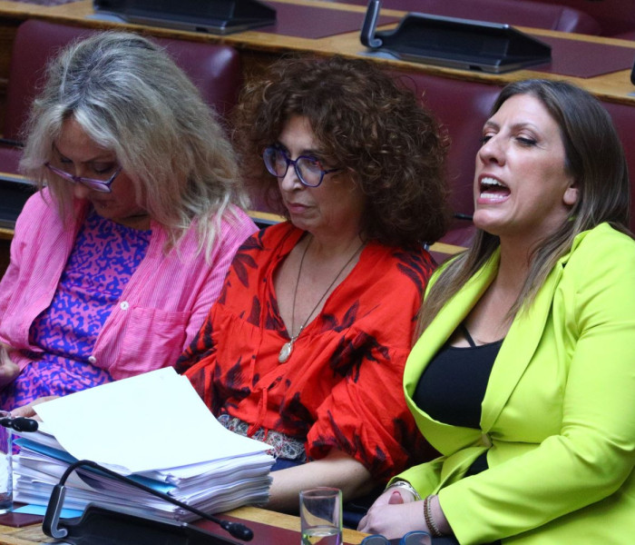 Ελένη Καραγεωργοπούλου: Διαφώνησα για τον τρόπο που κάνει κοινοβουλευτικό έλεγχο η Κωνσταντοπούλου