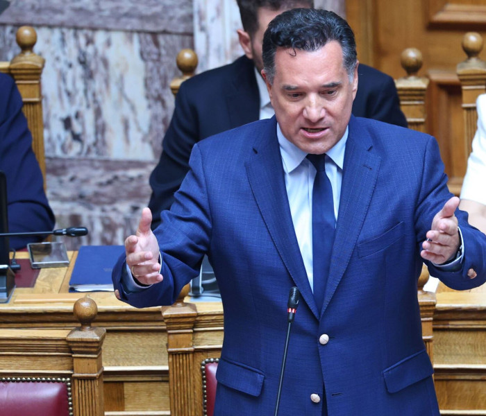 Γεωργιάδης: Πολιτικοί σκοποί στην προσπάθεια ταύτισης της Π. Καλαϊτζή με τους κομπογιαννίτες