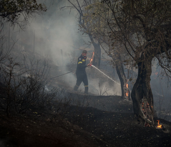 Μυτιλήνη: Πυροσβέστης τραυματίστηκε στη μάχη με τις φλόγες στο Πλωμάρι