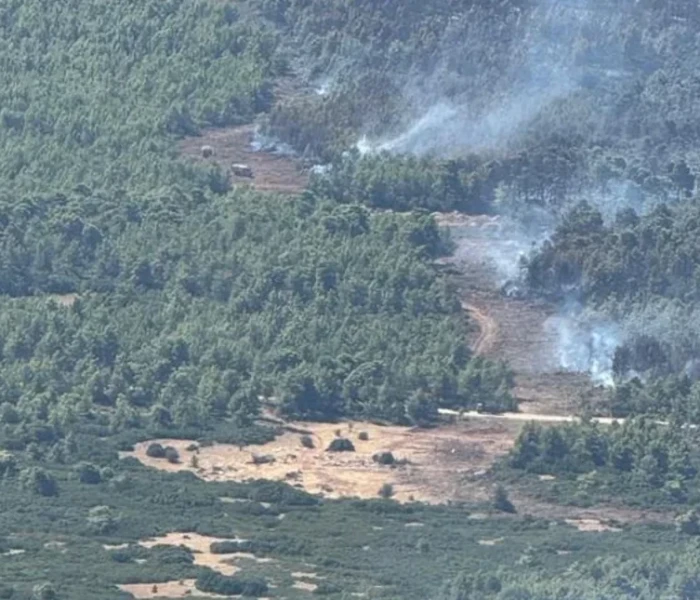 Φωτιά στη Δυτική Αττική: Το antinero έσωσε ζωτικά κομμάτια του δάσους (εικόνες)